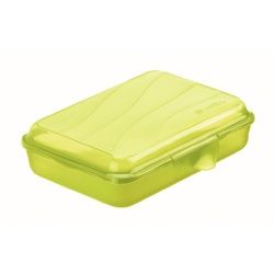 Rotho FUN Funbox, Brot-Box, 450 ml, Aufbewahrungsbox / Brotdose aus Kunststoff, Maße: 160 x 110 x 40 mm, Farbe: lime grün