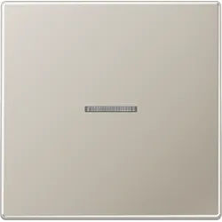 Jung ES2990KO5 Wippe mit Lichtleiter, Serie LS, Edelstahl