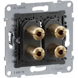 Legrand 765079 SEANO Einsatz 2-fach Lautsprecher-Anschluss mit 4 mm-Buchsen, vergoldete Messing-Buchsen für erstklassige Signalübertragung