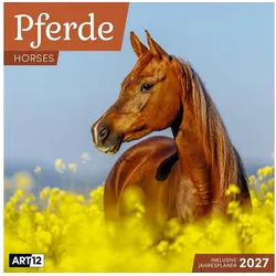 Ackermann Wandkalender Pferde Kalender 2027 - 30x30 - Art12 Bildstarker Tier-Kalender im schl weiß