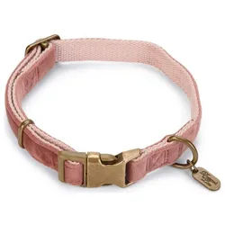 Designed By Lotte Hunde-Halsband Hundehalsband Velura pink Verstellmöglichkeit: 26 - 40 cm Breite: 15 mm