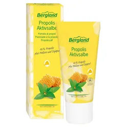 Bergland-Pharma GmbH & Co. KG Lippencreme Propolis Aktivsalbe, Aktivpflege bei Lippenbläschen und Aknepusteln