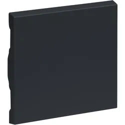 Legrand 765406 SEANO Wippe für Wechselschalter, Taster und Kreuzschalter, anthrazit lackiert