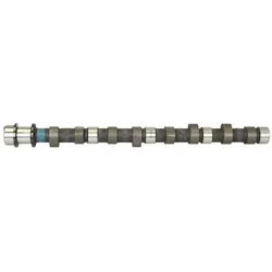 Nockenwelle AMC 664841