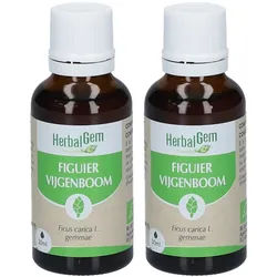 HerbalGem Bourgeons de Figuier Bio DUO