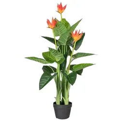 Kunstpflanze Guzmania ca. 40cm