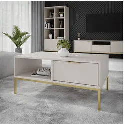 Raumhirsch Furniture Couchtisch Austin 80x60x45 cm, 100x60x45 cm (Einzelmöbel, Couchtisch mit 1 Ablage und 1 seitlicher Schublade), modernes Design, stabil & funktional, vielseitig einsetzbar 60 cm x 45 cm x 80 cm