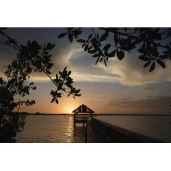 Papermoon Fototapete Steg im Wasser bunt 2,5 m x 1,86 m