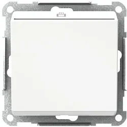 Elso WDE002053 Hotel-Card-Schalter 2-polig mit weißem LED-Licht, Exxact, weiß glänzend