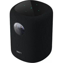 WiiM Sound black schwarz Wireless Lautsprecher