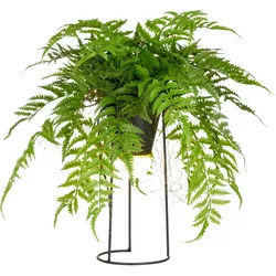 Kunstpflanze Farnmix Grün ca. 60cm