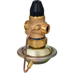 Danfoss Volumenstromregler 003H6728 DN40, Kvs 16,0, PN25, G 2 A