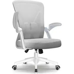 LuxusKollektion Bürostuhl Ergonomischer Bürostuhl Lendenwirbelstütze Testsieger grau