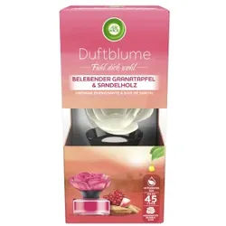 Air Wick Duftblume, Duftaroma sorgt für ein noch nie dagewesenes Dufterlebnis, Duft: Belebender Granatapfel & Sandelholz