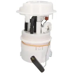 Kraftstoff-Fördereinheit DELPHI FE10174-12B1