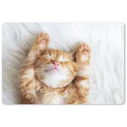 MuchoWow Mauspad Katze - Rot - Haustiere - Kätzchen (1-St), Mouse pad Klein, Gaming Deko, PC Zubehör, 27x18 cm bunt 27 cm x 18 cm