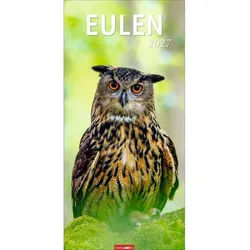 Wandkalender Eulen Kalender 2027