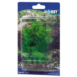 HOBBY Aquariendeko Egeria, 13 cm künstliche Aquariumpflanze