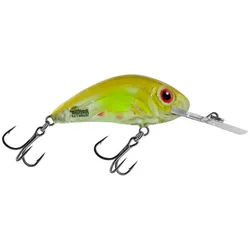 Salmo Kunstköder Salmo Rattlin Hornet Wobbler, (1-St) 5,5 cm