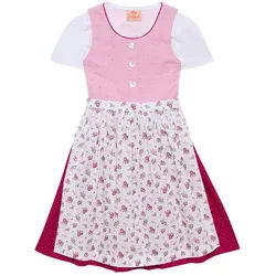 Berwin Dirndl rosa 104