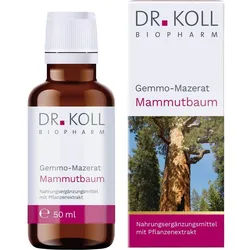 Gemmo-Mazerat Mammutbaum Dr. Koll Sequoia Gigantea 50 ML