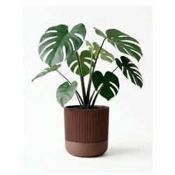 GROWLOFT - Flower Pot Shelter With Drip Tray - Mocha - 8.2cm high