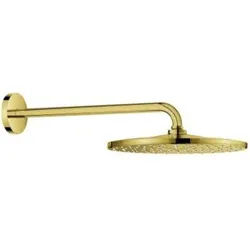 Grohe Kopfbrauseset Rainshower Mono 310 Brausearm 42,2cm, cool sunrise