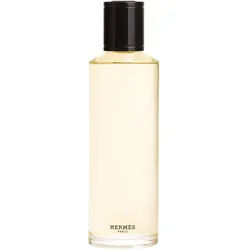 HERMÈS Terre d’Hermès Eau de Parfum Intense Eau de Parfum intense Ersatzfüllung für Herren 200 ml