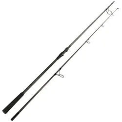 Sportex Karpfenrute, (2-tlg) 3 m