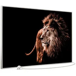 STEINFELD Heizsysteme Infrarotheizung Bild 900W, 120x74cm, Made in Germany, 7J Garantie, mit Thermostat, viele Motive silberfarben