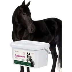 Lab-v EquiDerma Ergänzungsfuttermittel für Pferde und Ponys zur Unterstützung von Haut, Fell und Hufbeschaffenheit 2000g