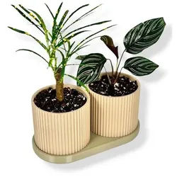TWINDA - Double Planter in beige and light olive - 8.5cm