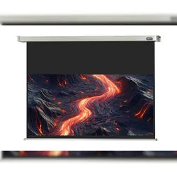 celexon Leinwand Motor Professional 300 x 169 cm