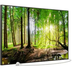 STEINFELD Heizsysteme Infrarotheizung Bild 900W, 120x74cm, Made in Germany, 7J Garantie, mit Thermostat, viele Motive schwarz