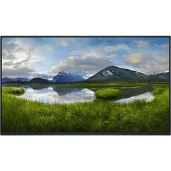 DELL - B2B P2425HE_WOST 24 Zoll Full-HD Business Monitor 8 ms Reaktionszeit 100 Hz