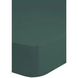 Mid.you Spannleintuch , Grün, Olivgrün , Textil , 160x200 cm , Oeko-Tex® Standard 100 , Rundumgummi, bügelleicht, spielend leicht zu überziehen , Heimtextilien, Bettwäsche & Leintücher, Leintücher, Spannleintücher