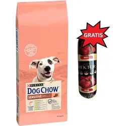 PURINA Dog Chow Adult Sensitive Salmon 14kg + Hektor 900g GRATIS!