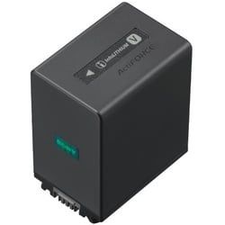 Sony Akku NP-FV100A