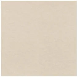 Rasch Vliestapete Vliestapete 464016 Beige-Hellbeige Uni 10,05 m x 0,53 m beige|braun