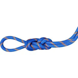 Mammut 9.0 Alpine Sender Dry Rope 30m ice-sunrise (5925) 30 m