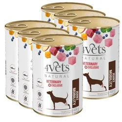 4 Vets Dog Joint Mobility 6x400g
