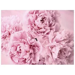Bilderdepot24 Teppich Vinyl Wohnzimmer Schlafzimmer Flur Küche Blumen Landhaus, rechteckig - rosa glatt, nass wischbar (Küche, Tierhaare) - Saugroboter & Bodenheizung geeignet rosa 100 cm x 75 cm