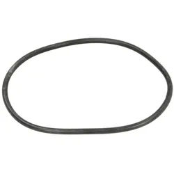 Getriebe O-Ring EURORICAMBI 95534676