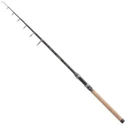 Balzer Spinnrute Balzer Diabolo Golden Circle Tele Mini Spin Heavy 2,45m 40-100g