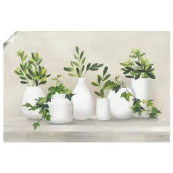 Wandbild ARTLAND "Plant Life IV", grün (farbe bild(er): grün), B:90cm H:60cm, Papier, Bilder, als Alubild, Leinwandbild, Poster, Wandaufkleber in verschied. Größen