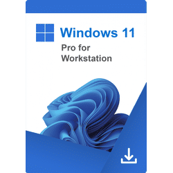 Windows 11 Pro for Workstation