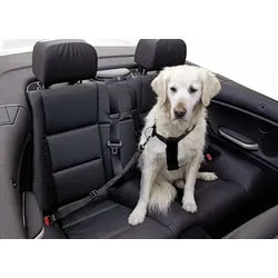 KERBL Sicherheitsgurt für Hunde, verstellbar, 30-60 cm