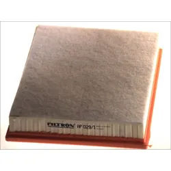 Luftfilter FILTRON AP029/1