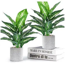 Kunstpflanze 2 Stück Künstliche Pflanzen Kunstpflanzen Dekopflanze Plastik Pflanze Kunstpflanze Wie Echt, Künstliche Pflanzen im Topf Zimmerpflanzen, Fake Plant, Realistische Kunstpflanzen Syngonium, 40 cm, Ideal für Wohnzimmer, Schlafzimmer, Bad, Küche, Büro, Balkon, SURFOU, Höhe 40 cm, Weihnachtsgeschenke, Geburtstagsgeschenke, Einzugsgeschenke grün