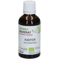 PhytoAustria Gemmo Mazerat Kiefer Bio Glycerinmazerat